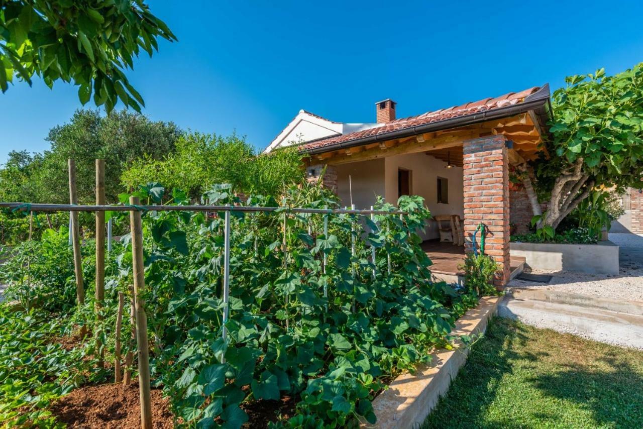 Villa Navita Augustinus With Pool Debeljak Extérieur photo